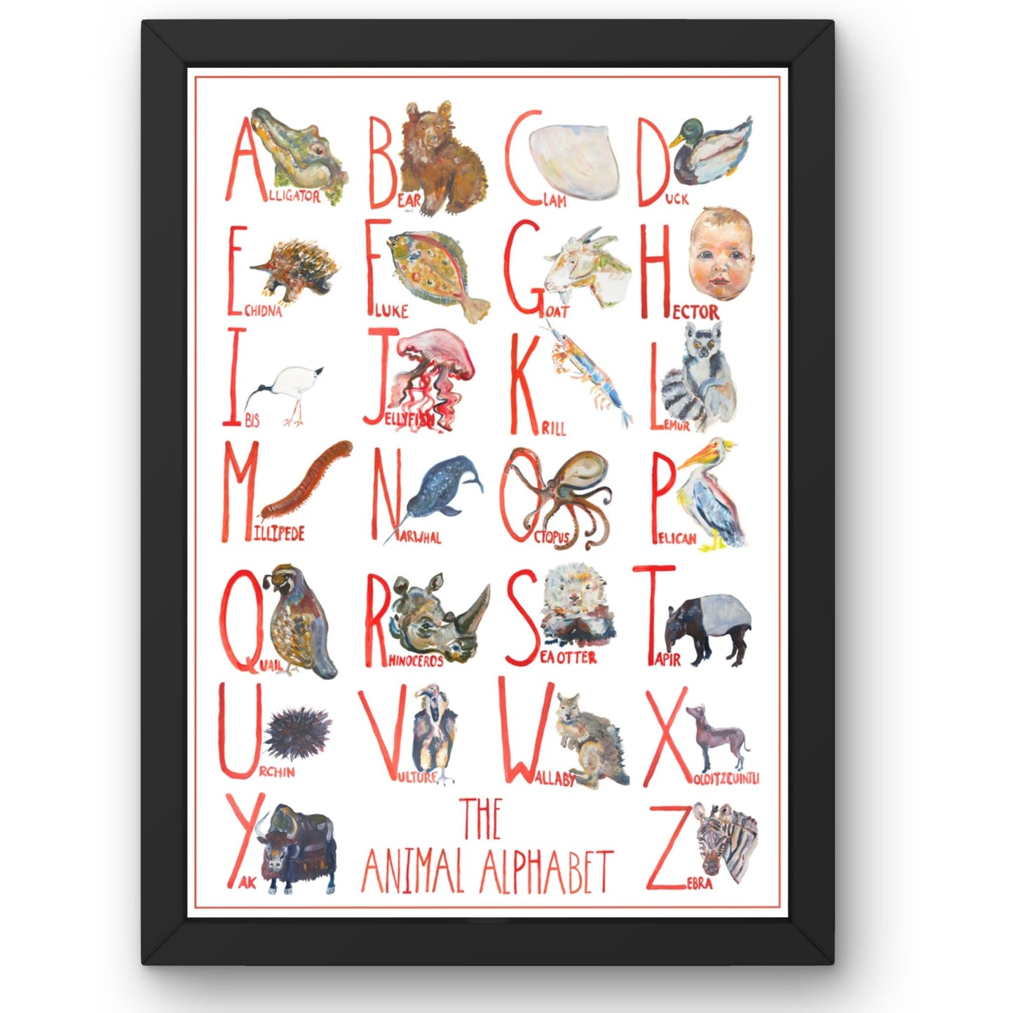 Personalised Animal Alphabet Poster | Custom Hand-Painted Portrait | McBs