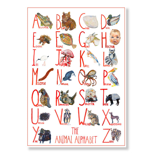 Personalised Animal Alphabet Poster | Custom Hand-Painted Portrait | McBs