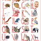 Personalised Animal Alphabet Poster | Custom Hand-Painted Portrait | McBs