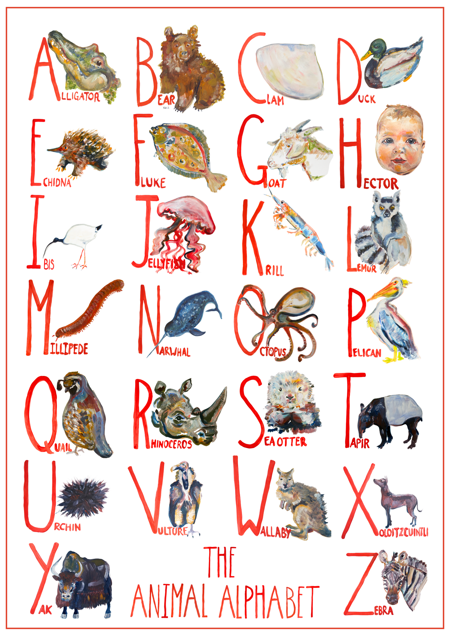 Personalised Animal Alphabet Poster | Custom Hand-Painted Portrait | McBs