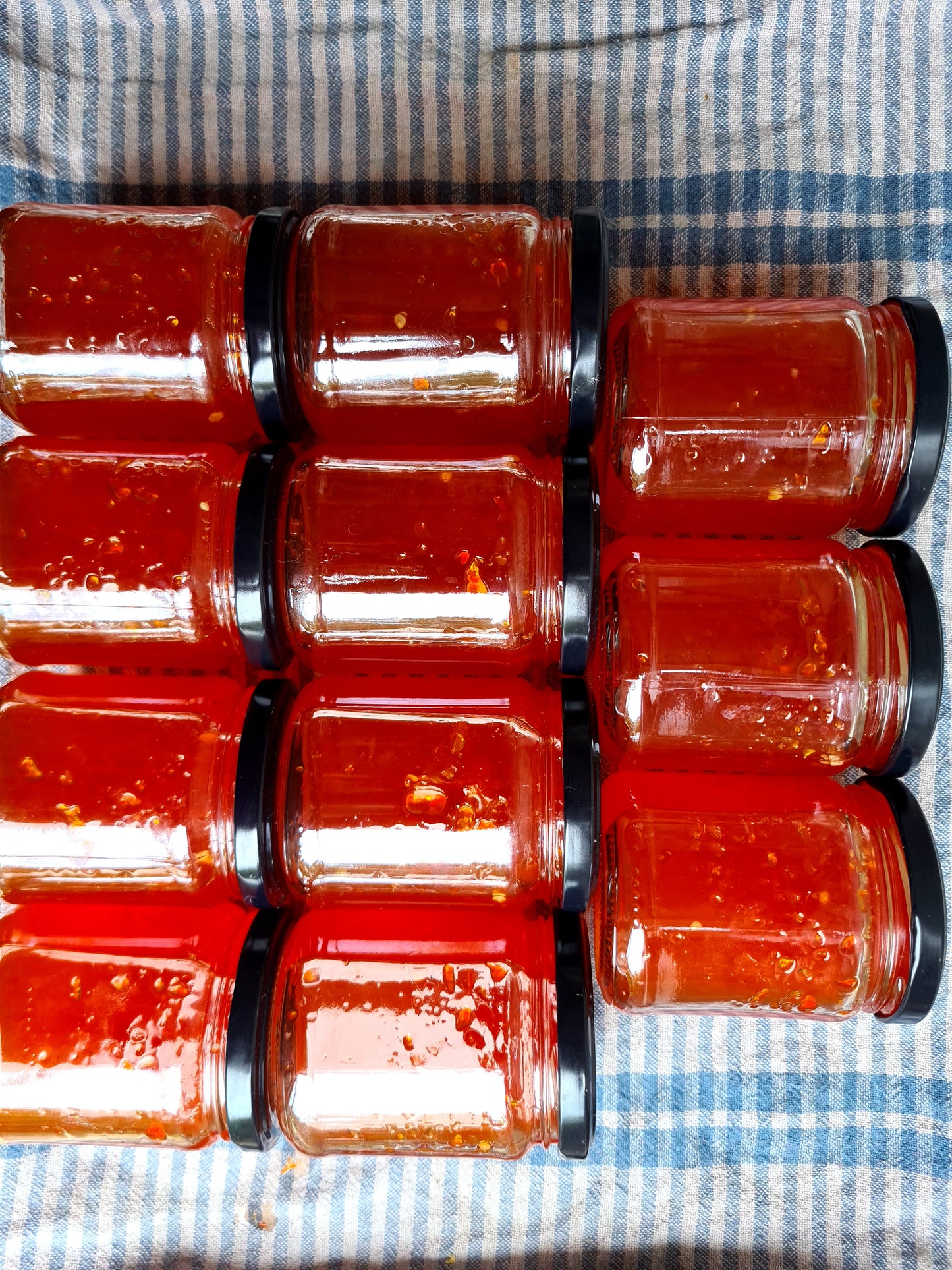 🌶 Hot Pepper Jelly 🌶