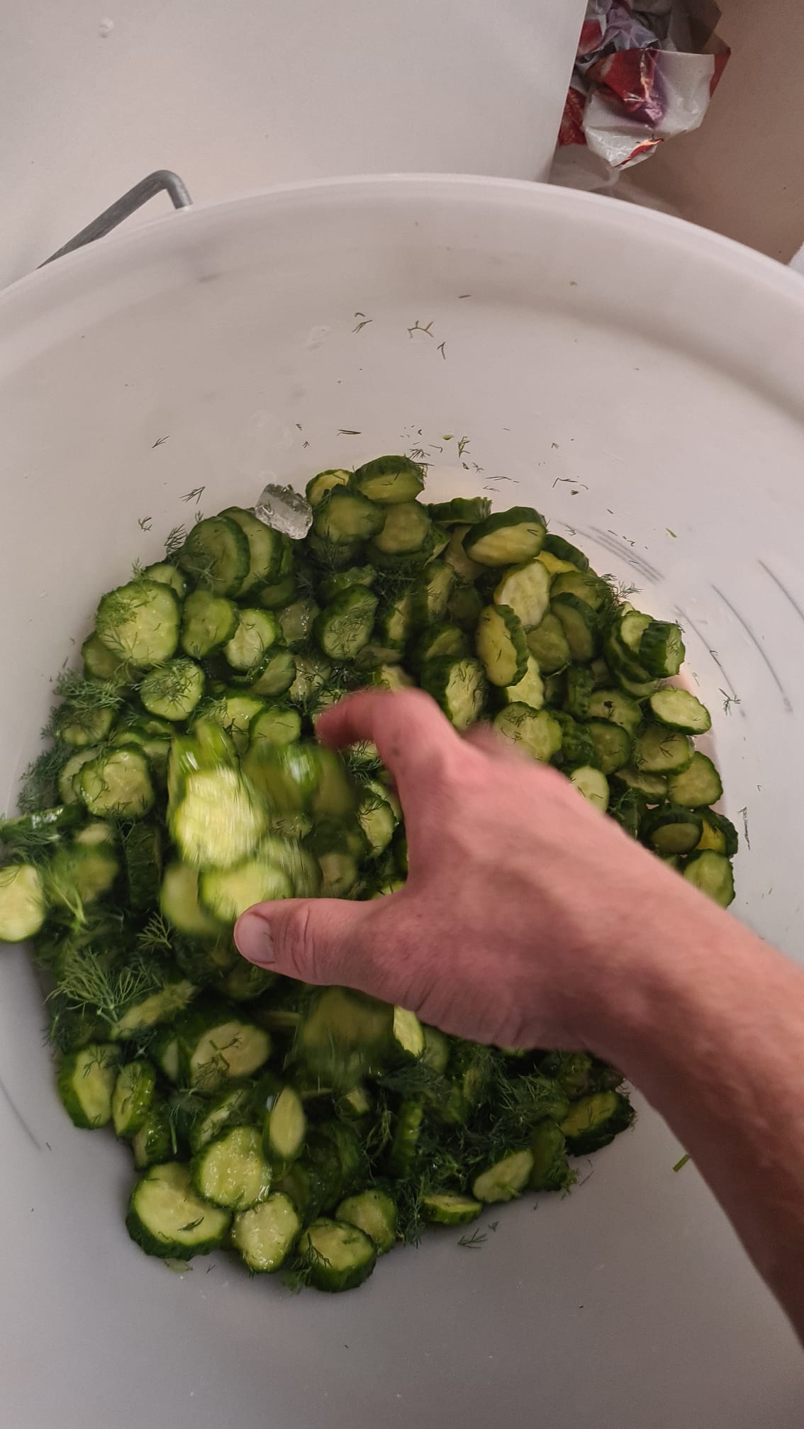 Crinkle Cut Dill and Vine Leaf Pickles