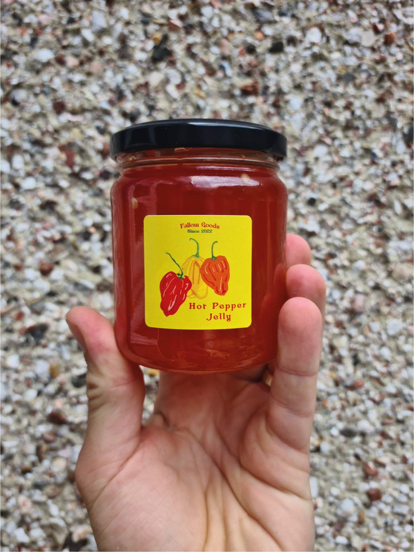 🌶 Hot Pepper Jelly 🌶